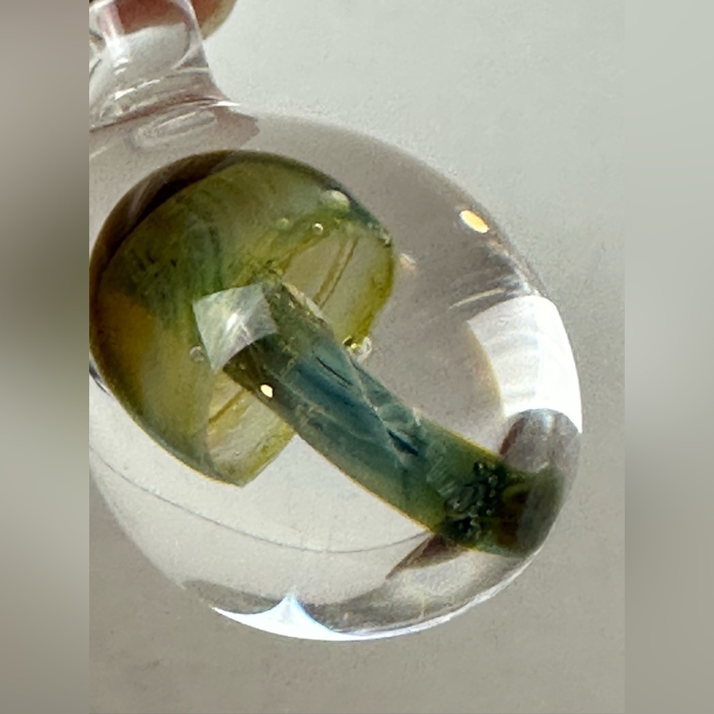 Mushroom Glass Dome Pendant